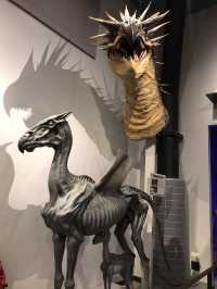 Warner Bros. Studio – โลกเวทมนตร์ของ Harry Potter