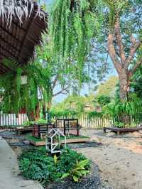 Cup Fine Day |ปทุมธานี