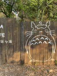 MITAKA 3e CAFE
