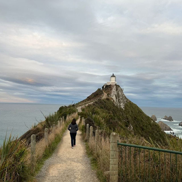 Springtime Wonders in New Zealand