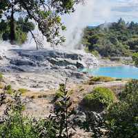Spring in New Zealand – Nature Awakens in Style