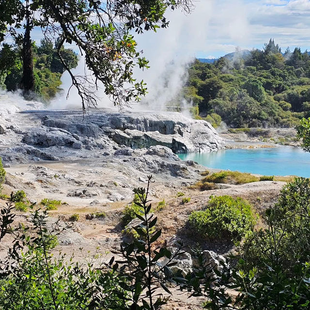 Spring in New Zealand – Nature Awakens in Style