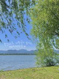 오월은 피크닉 계절: 부산 피크믹