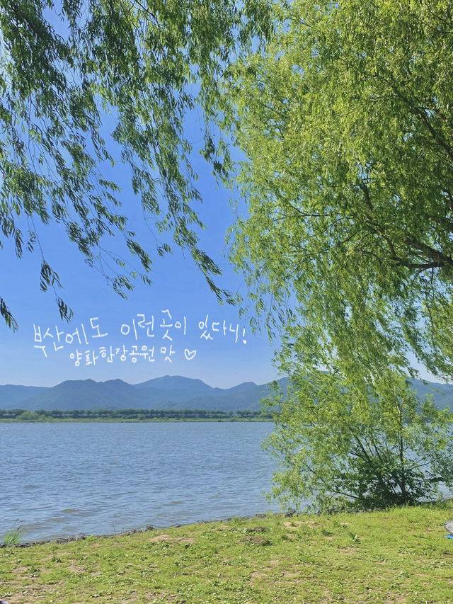 오월은 피크닉 계절: 부산 피크믹