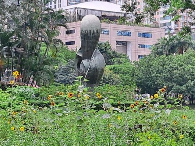 Golden blooms light up Benjakitti Park 