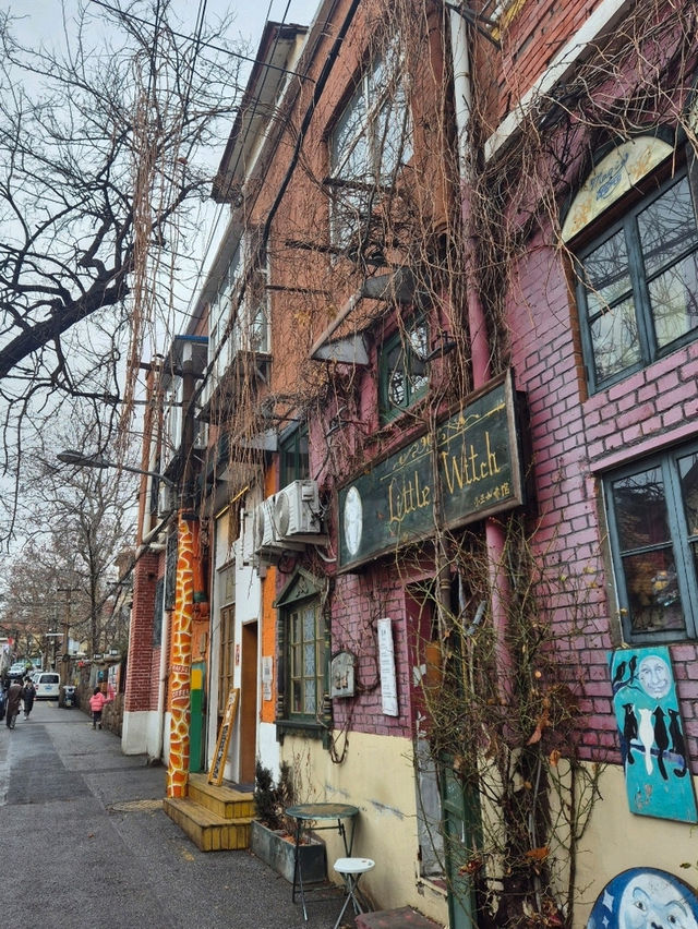중국 칭다오 가볼만한 곳 : 대학로🇨🇳