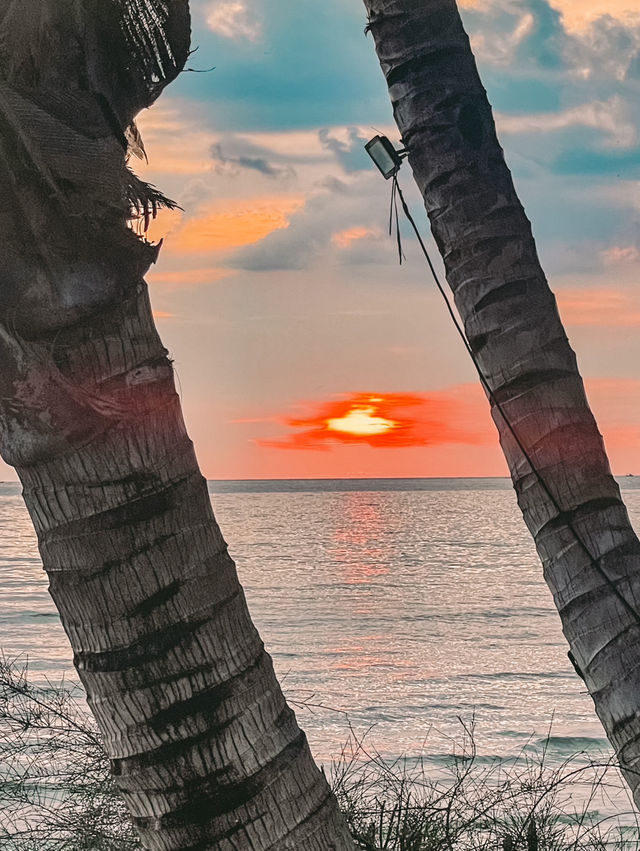 ” Centara Koh Chang Tropicana Resort “🏝️🐘