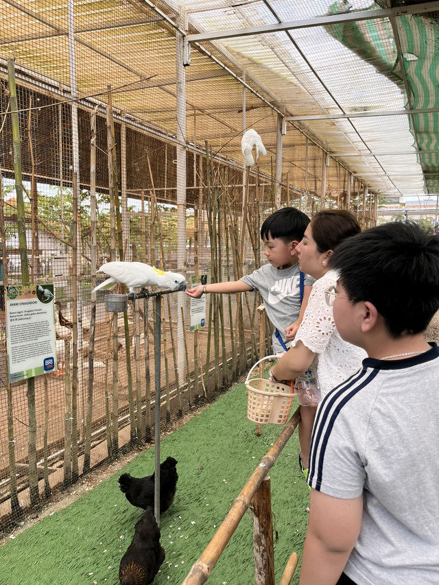 So FUN at Batam Zoo Paradise!!!