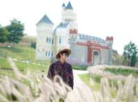ที่เที่ยวอากาศเย็นดอกไม้สวยตลอดปี