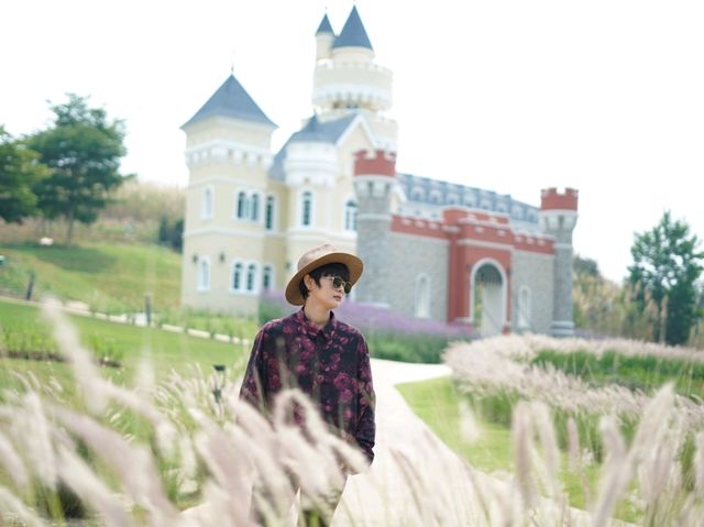 ที่เที่ยวอากาศเย็นดอกไม้สวยตลอดปี