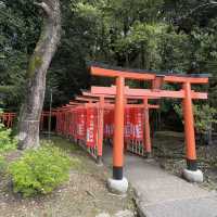 Hidden Torii: Nagayama Inari Shrine