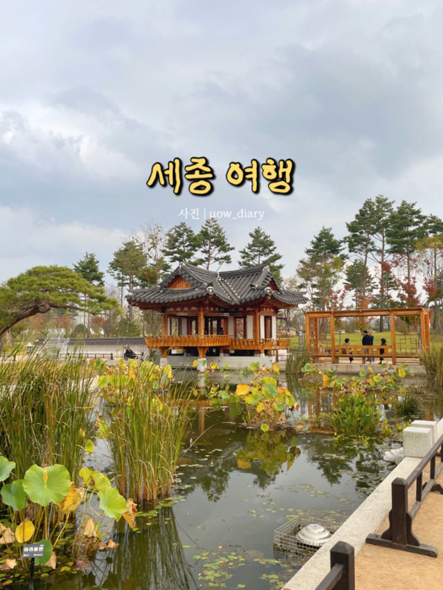 자연과 문화를 즐기기 좋은 세종!