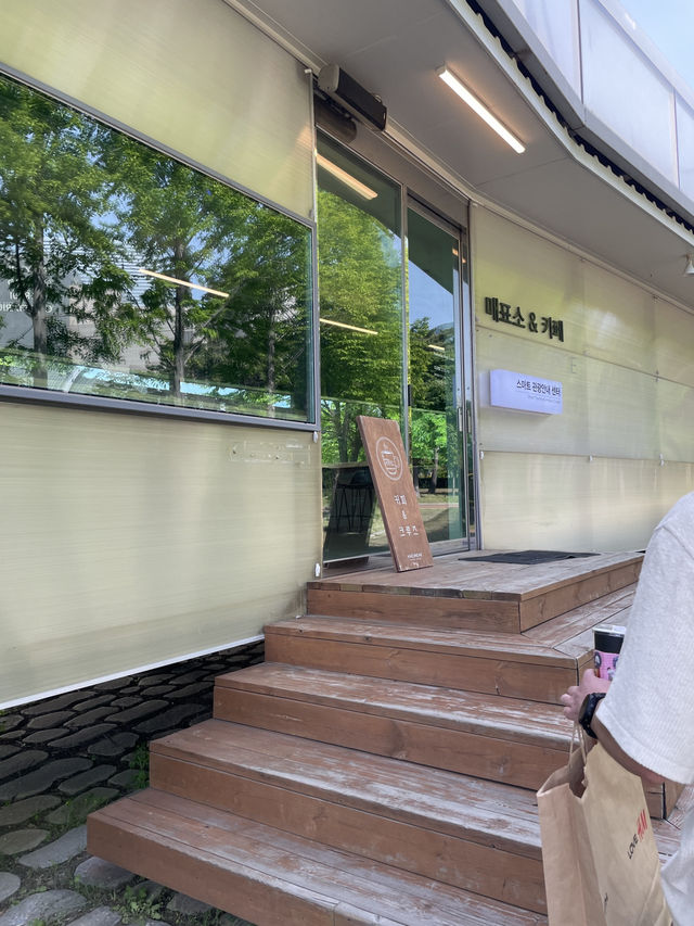 부산 힐링코스! 산책부터 리버크루즈까지 특별해🍀🚢🛳️
