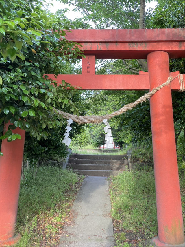 清新脫俗的神隱火山村🌸千尋櫻島