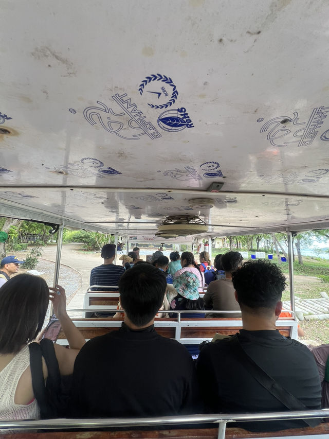 เกาะแสมสาร อ.สัตหีบ จ.ชลบุรี🐠🐟🐳🪼