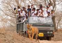 Ranthambore Tiger Reserve