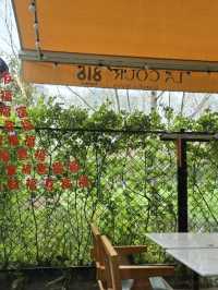 LA COUR Brunch&Bistro คาเฟ่ที่มีอาปาก้า @Shanghai 