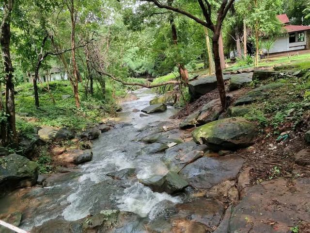 อุทยานแห่งชาติแก่งตะนะ