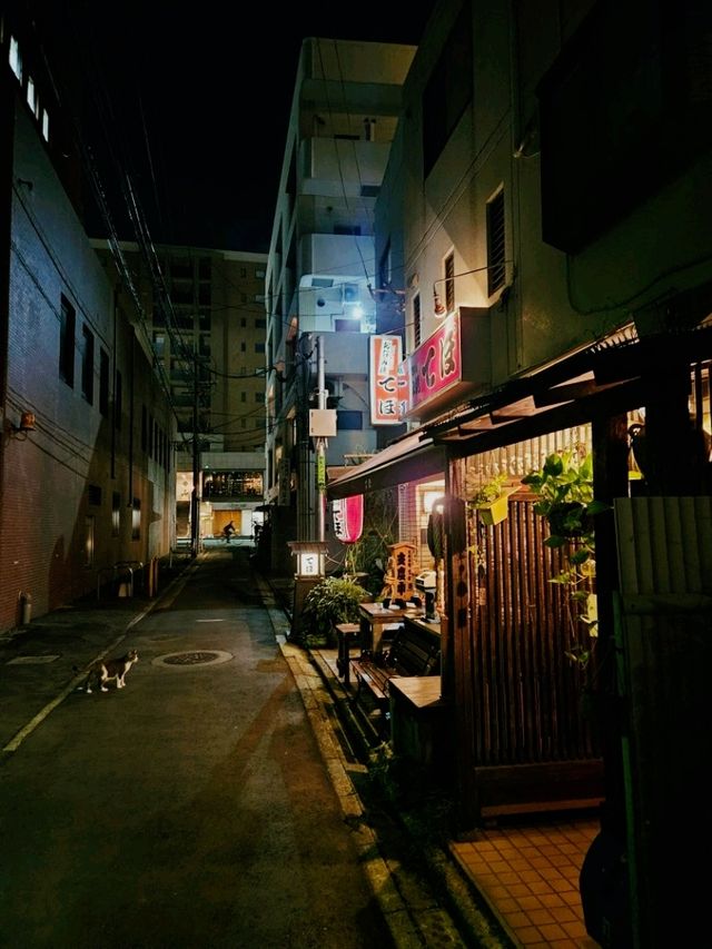 🍻 후쿠오카 감성 골목 속 오코노미야끼 맛집, Tebo (テボ)