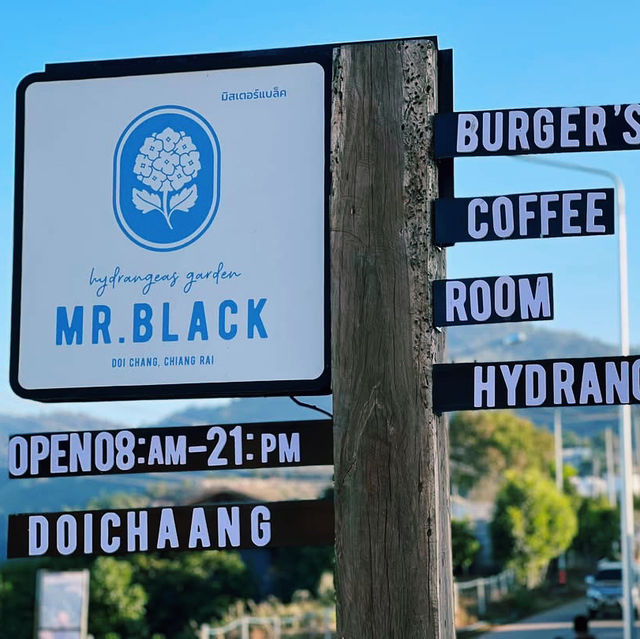 Mr. Black Cafe Doichaang : ธรรมชาติเงียบสงบ