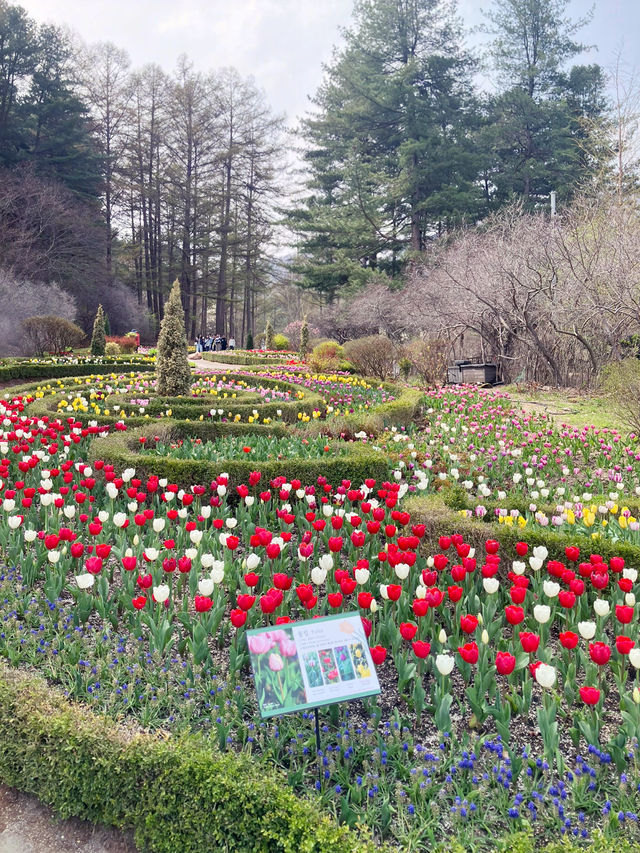산책하기 좋은 힐링 야외데이트🌲