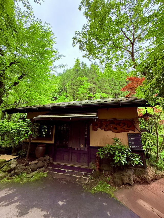 黑川奧之湯溫泉飯店