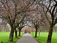 Edinburgh’s Spring Gardens and Castles