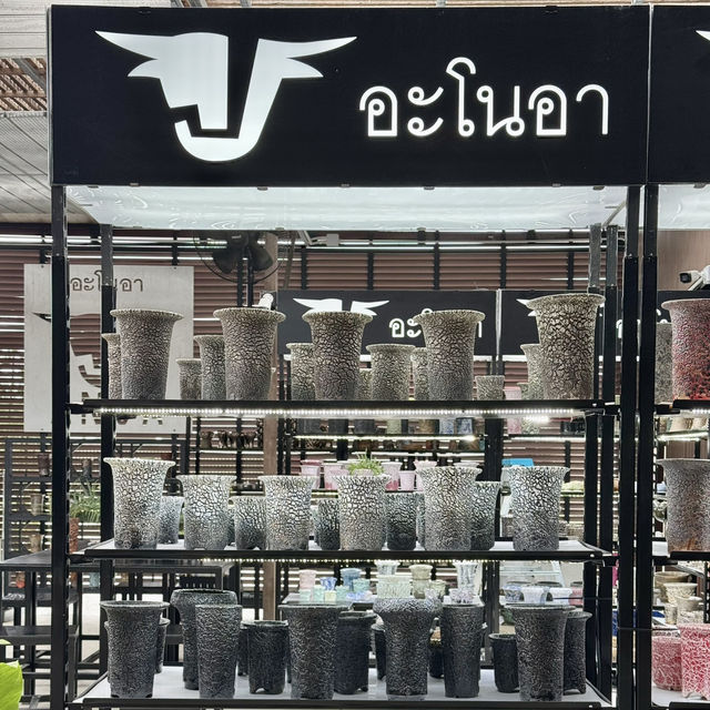 “กาแฟดี บรรยากาศโดน ใจละลายไปกับต้นไม้ 🌿☕”