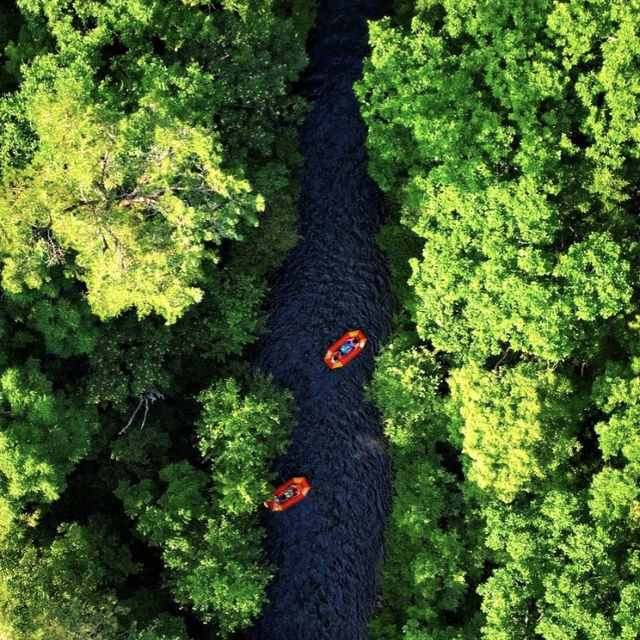 🫔 端午建議｜5-8月一定要來20℃的長白山避暑 🏞️