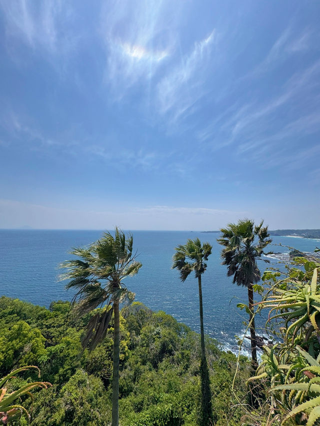 【伊豆】まるで南国🌴絶景スポットでチルタイム