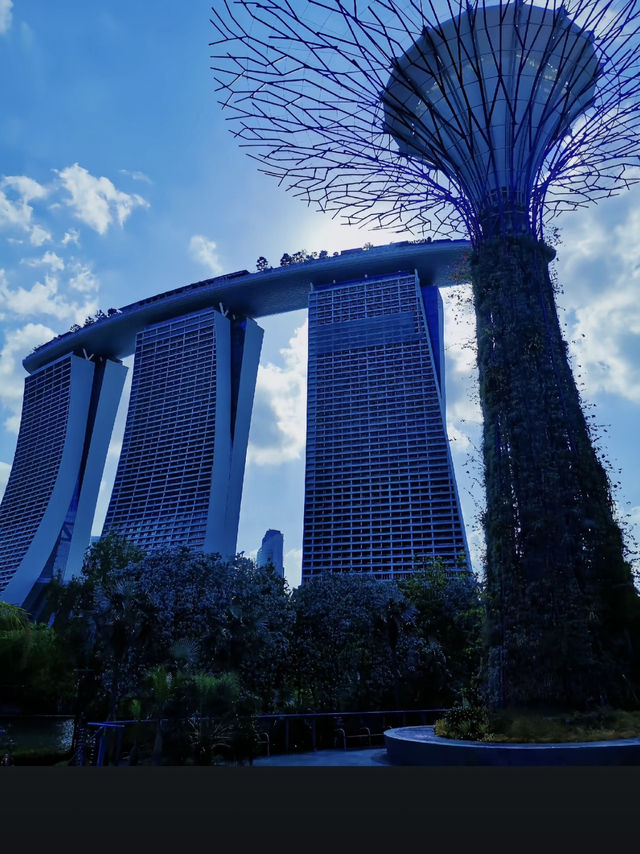 🏝️✨ รีวิวเที่ยวสิงคโปร์🇸🇬