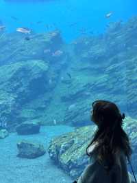 親子景點推薦｜ 東北地區必訪仙台うみの杜水族館