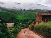 ที่พักน่านหน้าฝนระหว่างทางบ้านสะปัน-ห้วยโทน🌿