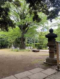 【東京都赤坂🇯🇵赤坂氷川神社】平安時代から続く神社