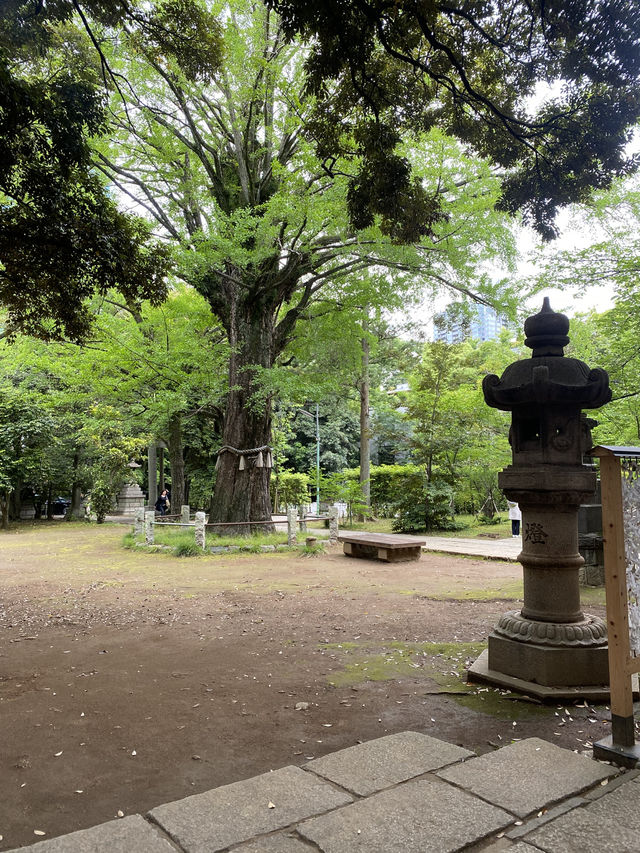 【東京都赤坂🇯🇵赤坂氷川神社】平安時代から続く神社