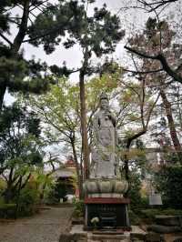 Daytrip to Shiba Park