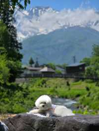 จุดเช็คอินจุดใหม่ แถว Hakuba วิวสวยมาก
