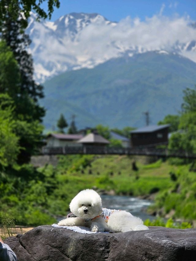 จุดเช็คอินจุดใหม่ แถว Hakuba วิวสวยมาก