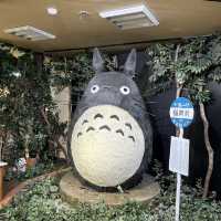 【京都/東山区】ジブリの世界観が可愛い🌿