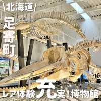 北海道でも珍しい‼️レア体験ができる博物館