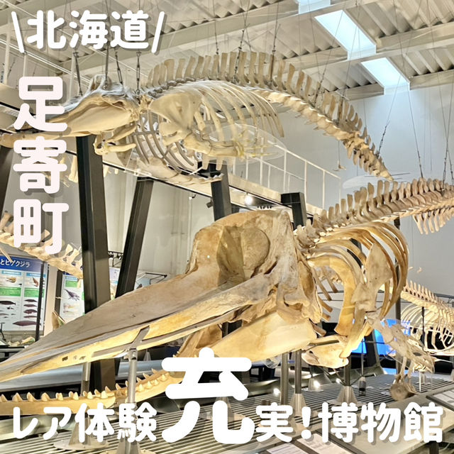 北海道でも珍しい‼️レア体験ができる博物館