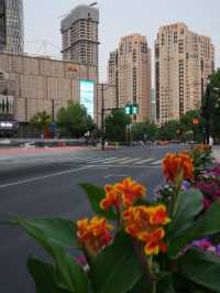 Zhongshan Park เซี่ยงไฮ้ วิวสวยสะกดใจ