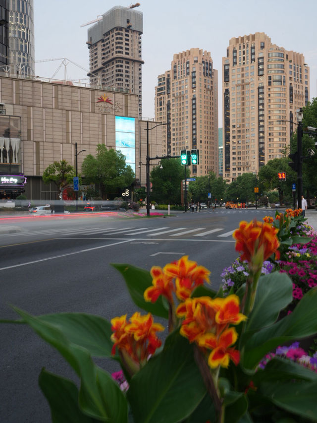 Zhongshan Park เซี่ยงไฮ้ วิวสวยสะกดใจ Zhongshan Park เซี่ยงไฮ้ วิวสวยสะกดใจ