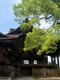 香川｜千階樓梯挑戰的金刀比羅宮 與金比羅犬有趣歷史