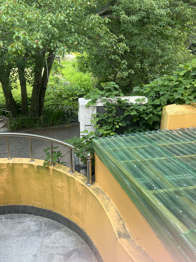 🌳 푸른 눈의 나무 할아버지, 민병갈 기념관