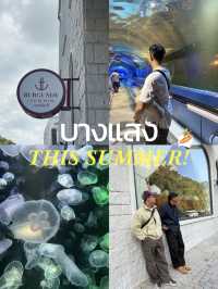 บางแสน recap