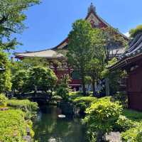 ⛩️ My Senso-ji May Not Have a Bodhisattva’s View, But It Was Perfect to Me.