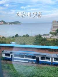 해운대 여행지 핫플만 다녀와봄 (2편) 🐡🐟🐙