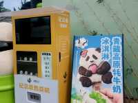 🐼สถานที่ยอดฮิตในตูเจียงเยี่ยน
