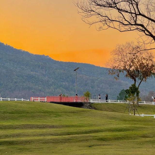 สถานที่ดูแสงเย็น ในเมืองเชียงใหม่ Vibesโคตรดี 🌳🧡